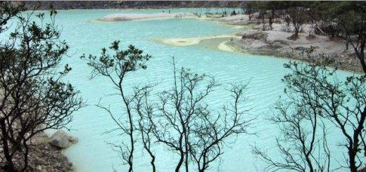 kawah putih ciwidey 520x245 1