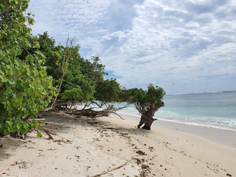 Pantai Plengkung by Gmap