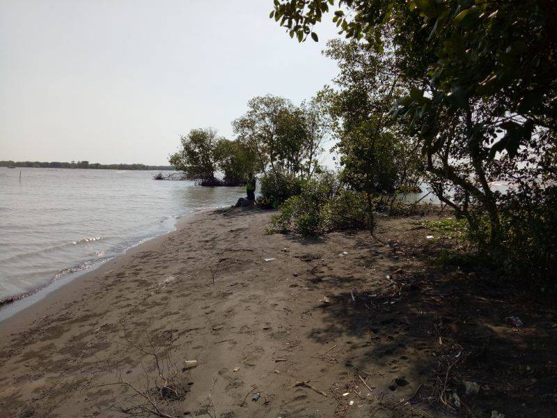 View Pantai Muara Gembong