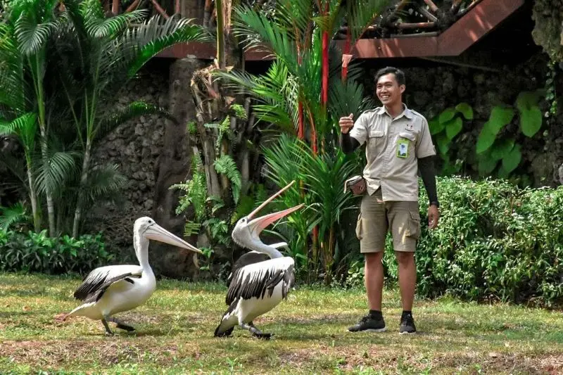 Faunaland di Allianz Ecopark Ancol Foto via @allianz.ecopark.