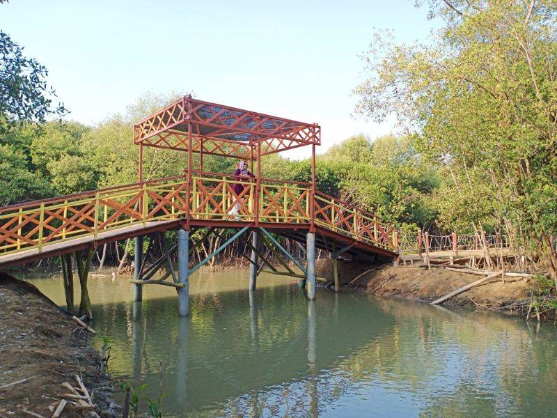 Jembatan Mangrove pantai karangsong