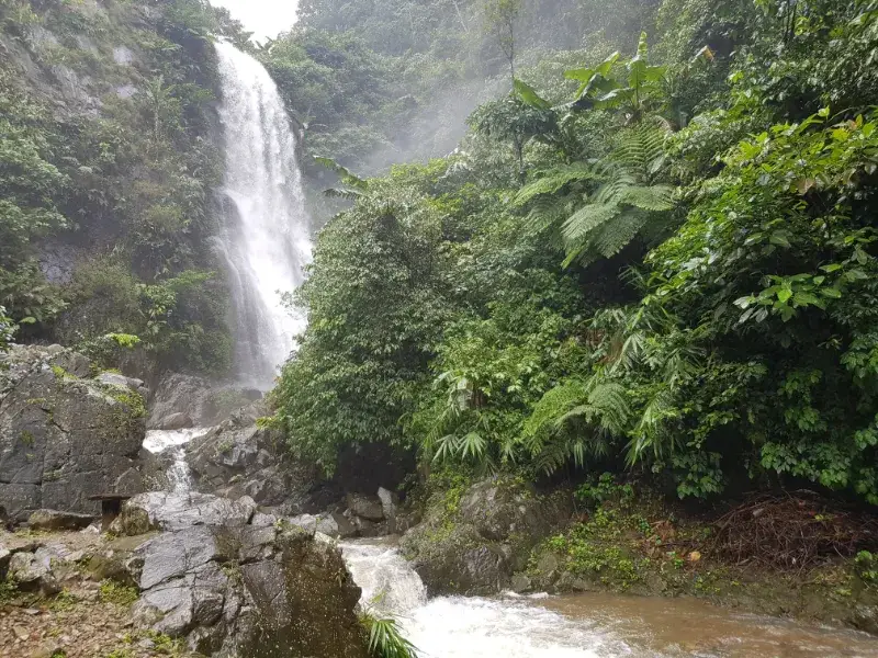 Pemandangan Curug Cigentis Loji Karawang Foto via Gmap.