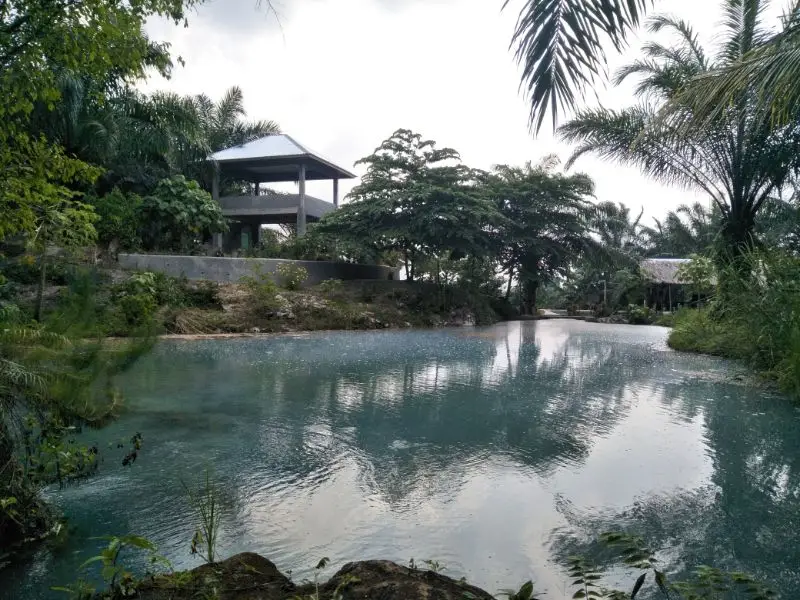 Pemandangan Danau Linting Foto via Gmap.