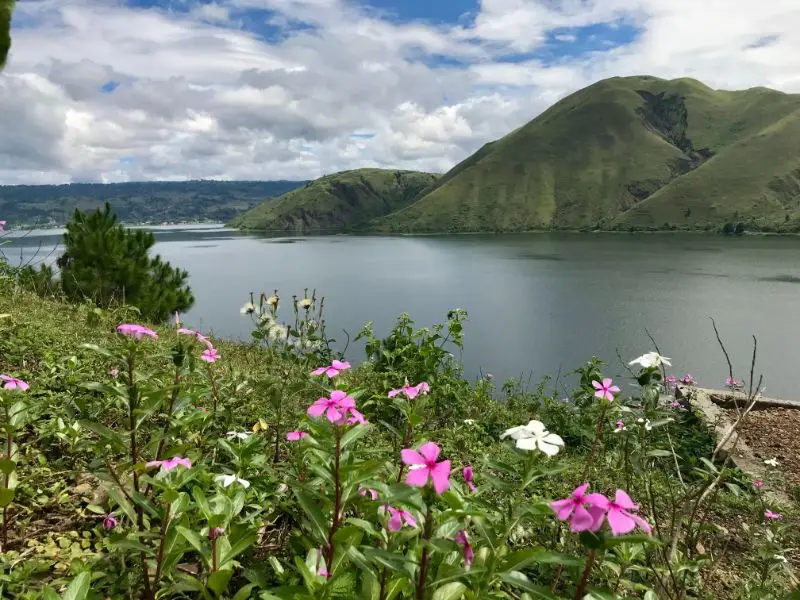 Taman Bunga Danau Toba foto via Gmap.