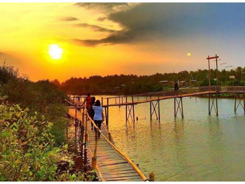 Wisata Mangrove di Pantai Congot by Gmap