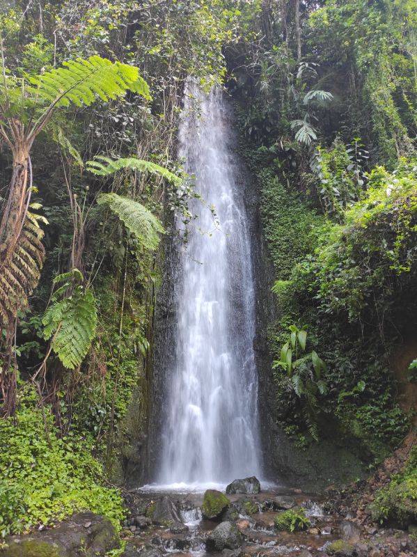 Air terjun cibeureum di Kebun Raya Cibodas via Gmap