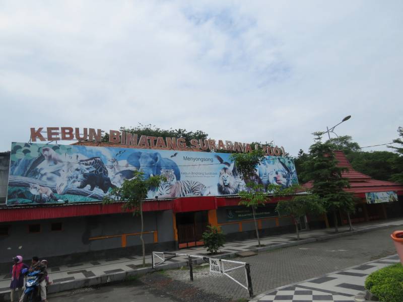 Kebun Binatang Surabaya