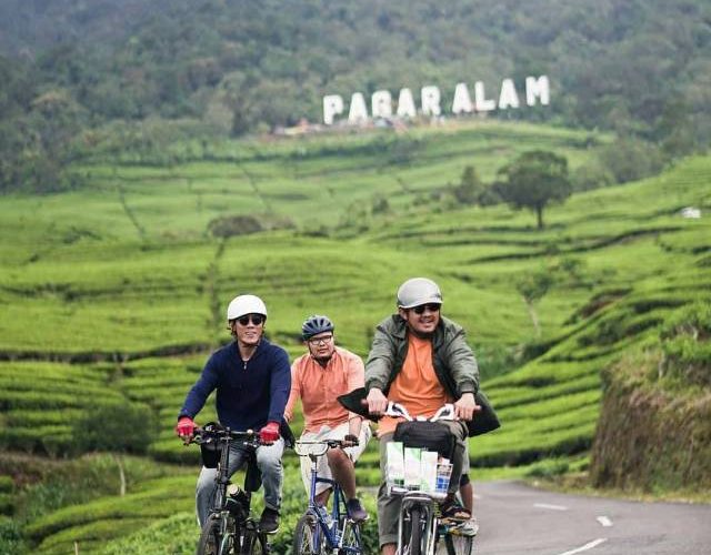 Kebun Teh di Pagar Alam By @riski chaniago