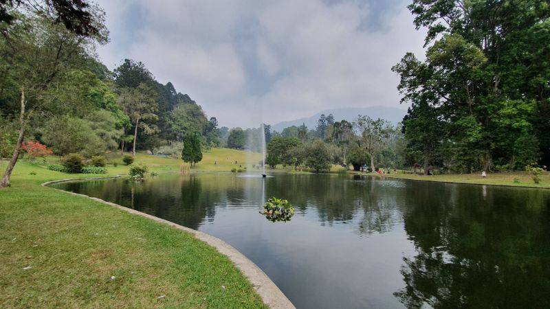 Kolam Besar Kebun Raya Cibodas foto via Gmap