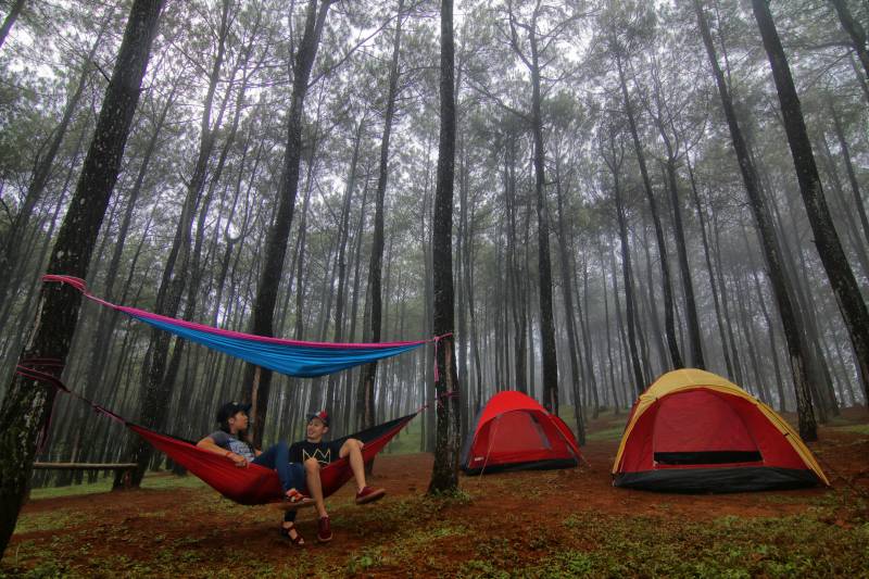 Camping di puncak becici jogja