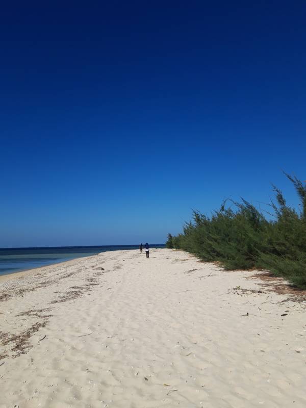 Pantai di Pulau Tabuhan Banyuwangi