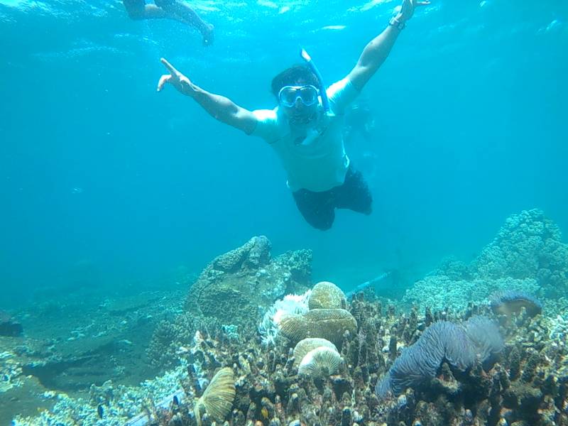 Snorkling di Pulau Tabuhan Banyuwangi