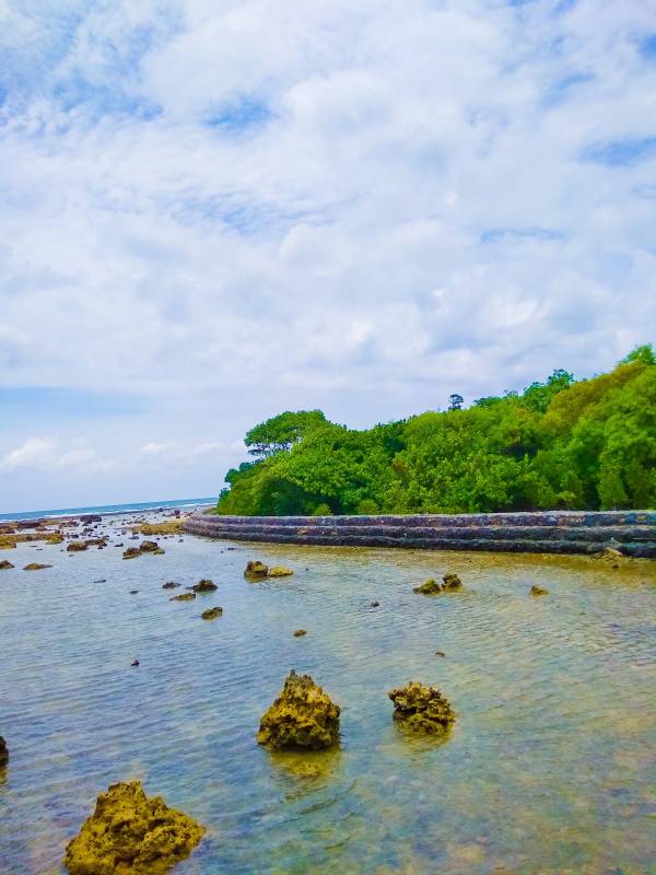 Terumbu Karang Pulau Panjang Jepara