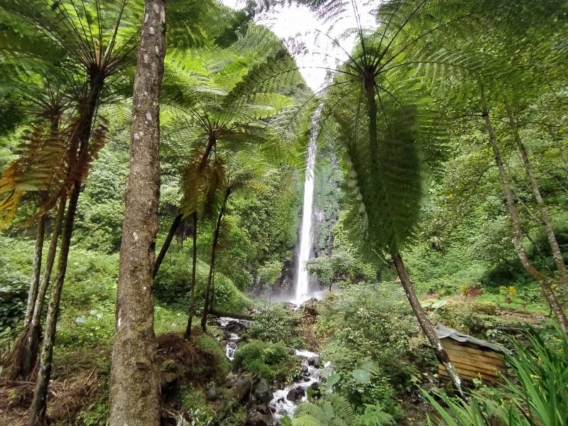 Air Terjun Tancak Tempat Wisata Di Jember