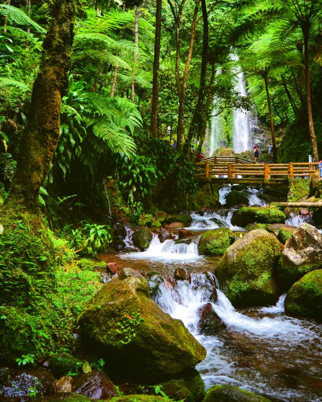 Air Terjun Jumog Karanganyar