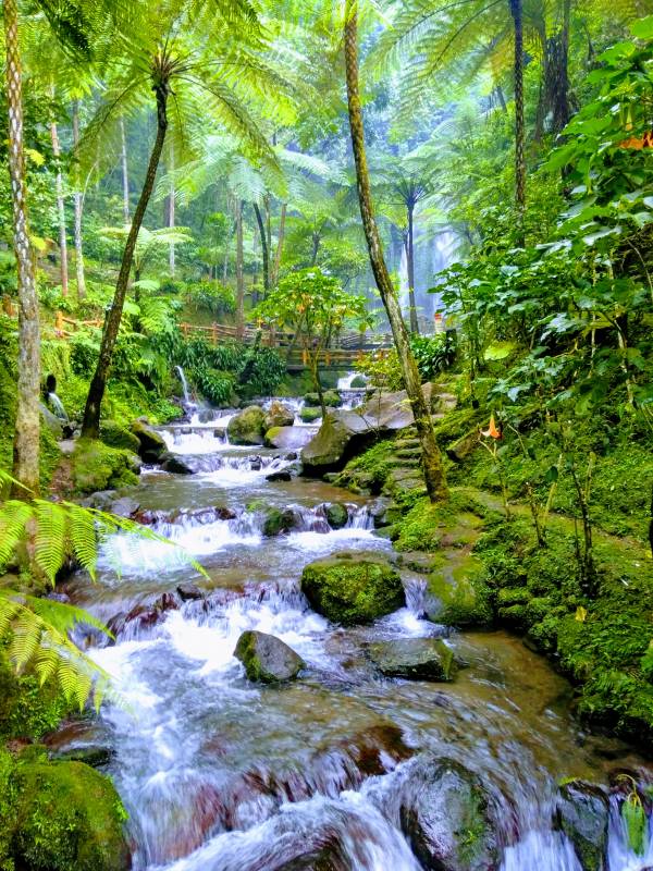 Aliran sungai Air Terjun Jumog Karanganyar via gmap