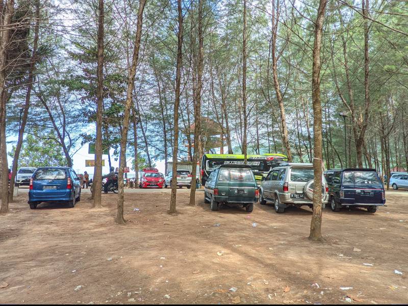 Hutan Pinu Pantai Gemah Tulungagung Foto By Jims Mahoeltra