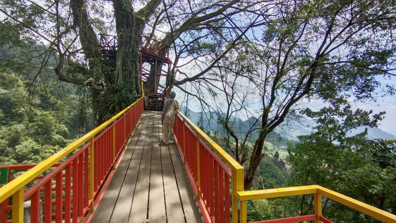 Rumah Pohon di Curug Ceiherang