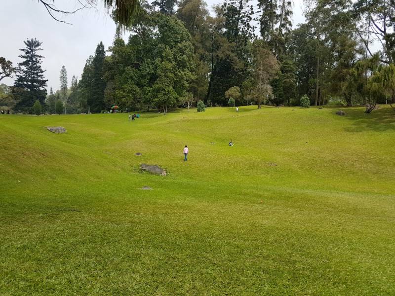 Taman Sakura – Kebun Raya Cibodas Bogor