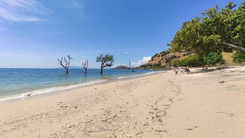 Pantai Kajuwulu Flores