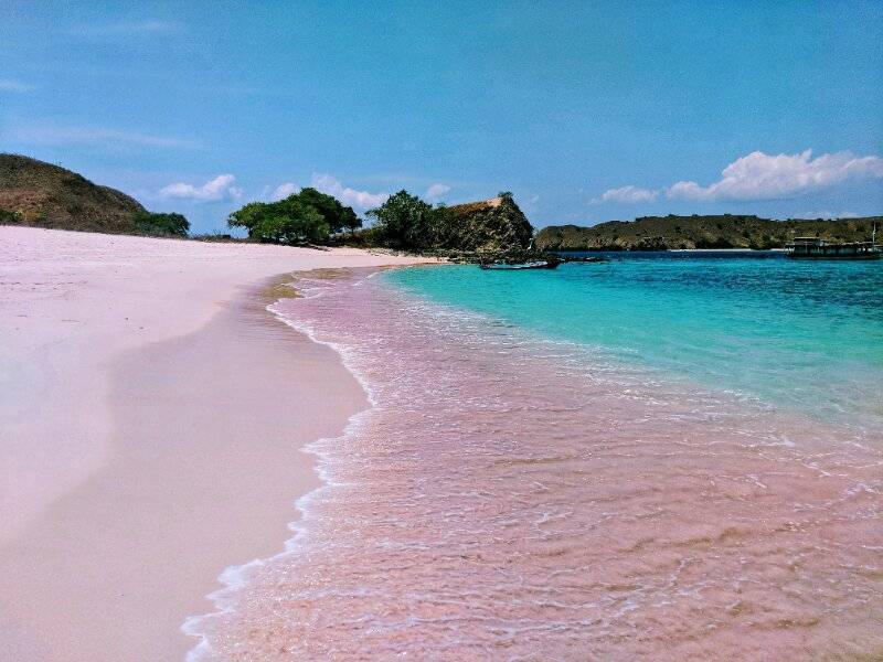 Pantai Merah Jambu Flores