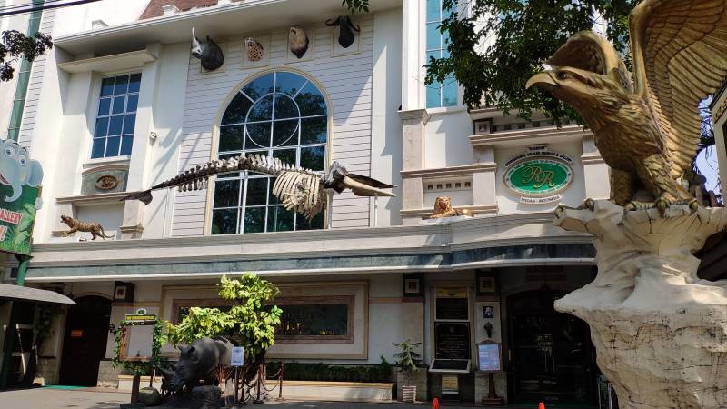 Rahmat International Wildlife Museum Gallery