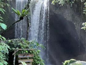 Suwat Waterfall in Bali