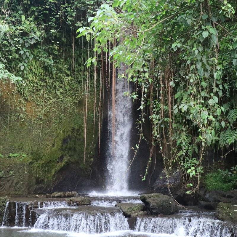 Sumampan Waterfall Bali