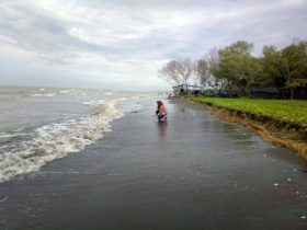 Pantai Muara Gembong