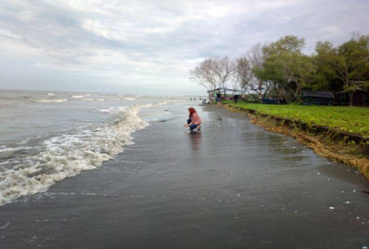 Pantai Muara Gembong