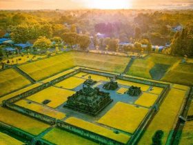 pemandangan Candi Sambisari secara landscape