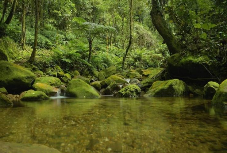 Camping Ground Di Gunung Bunder Bogor - Rute Lokasi Dan Villa Terdekat ...