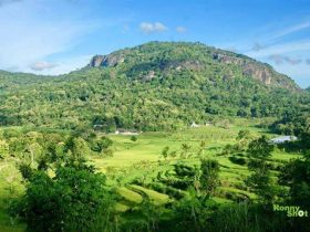 Gunung Api Purba Nglanggeran