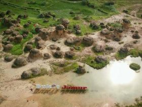 Pemandangan Bukit Jamur Gresik Dari Atas