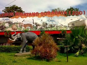 Kebun Binatang Surabaya