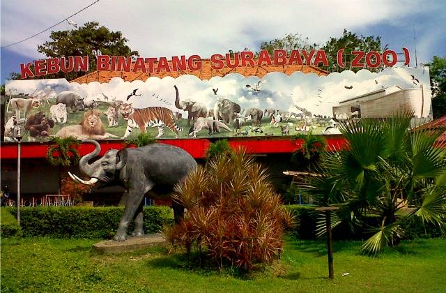 Kebun Binatang Surabaya