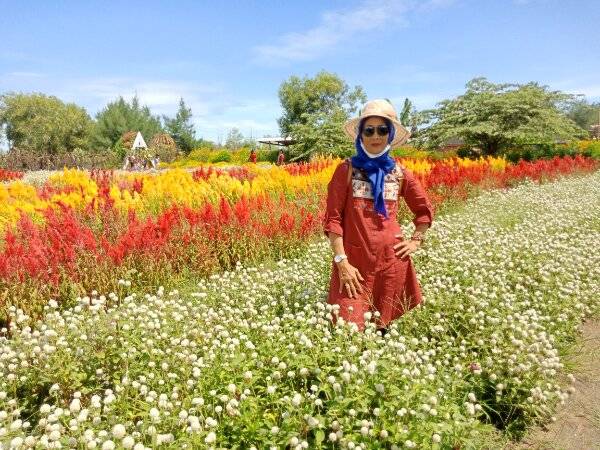 Keindahan Kebun Matahari Bantul