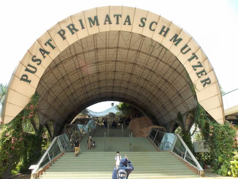 Pusat Primata Schmutzer Taman Margasatwa Ragunan