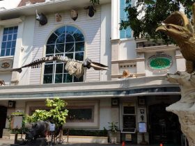 Rahmat International Wildlife Museum Gallery