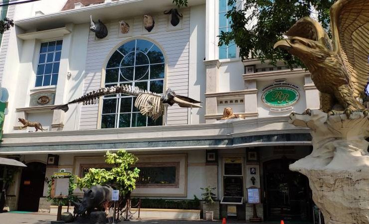 Rahmat International Wildlife Museum Gallery