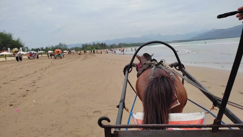 Naik Delman di Pantai Teleng Ria