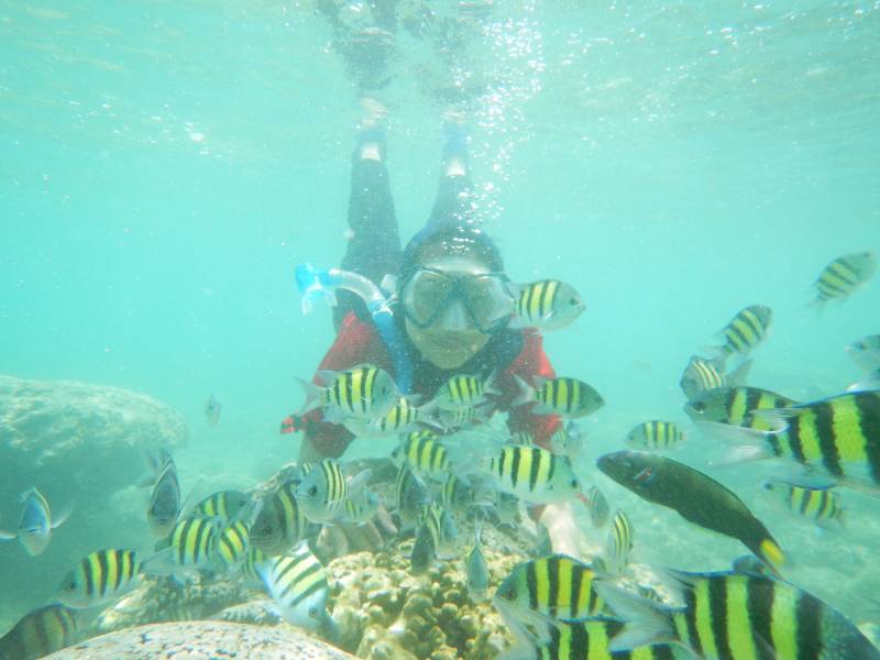 Snorkling di Pulau Tikus