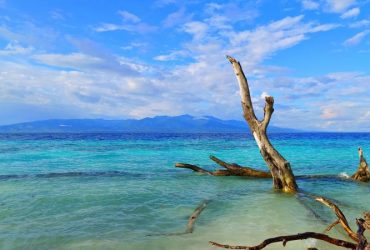 Pantai Liang Maluku