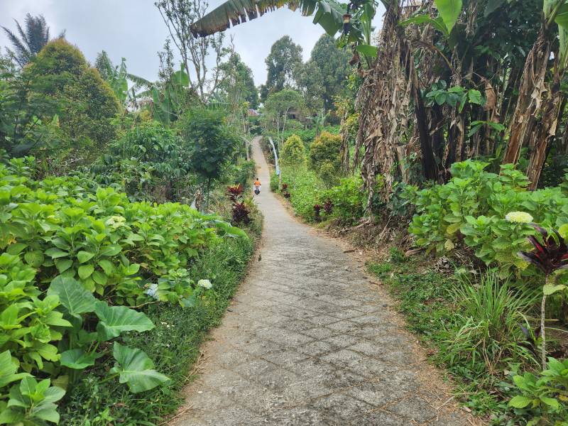 Road to Banyumala Waterfall