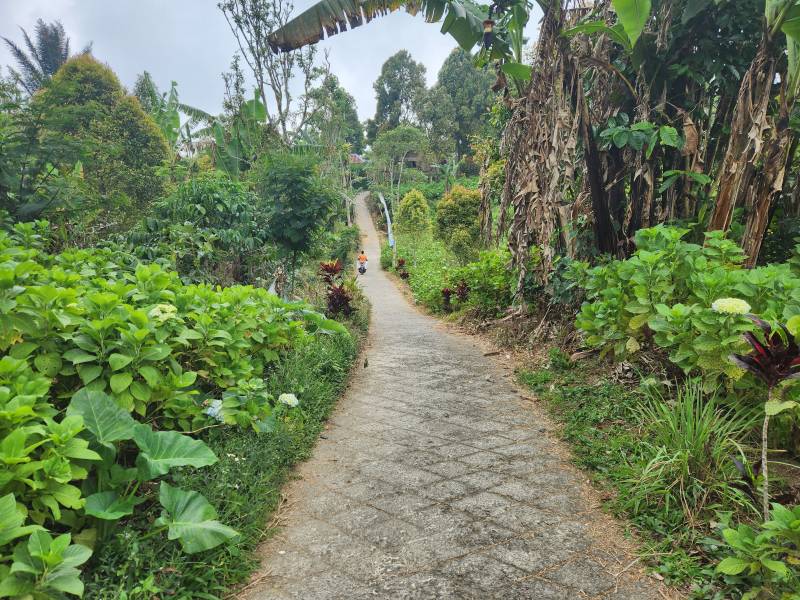 Jalan ke Air Terjun Banyumala