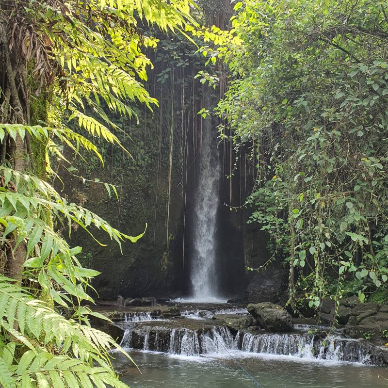 Physically of Sumampan Waterfall