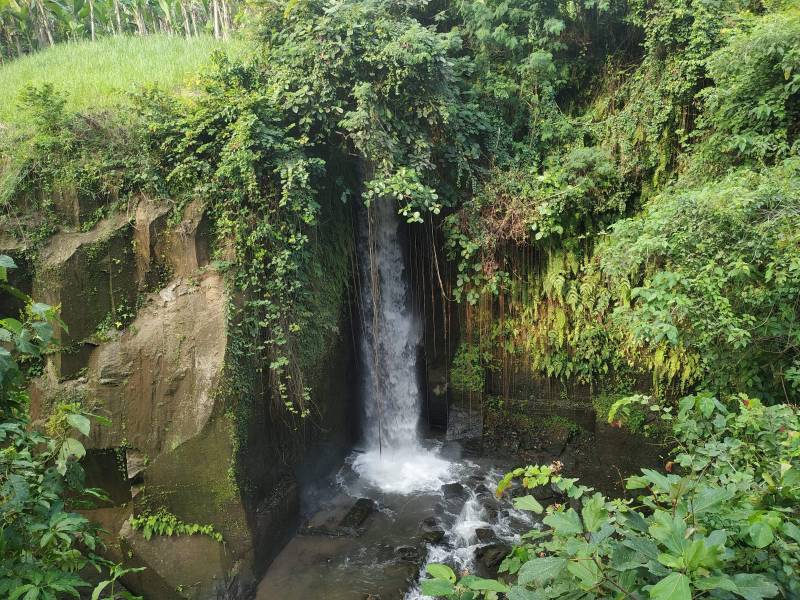 The Beauty of Sumampan Waterfall Bali